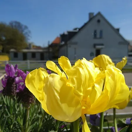 & Vandrerhjem